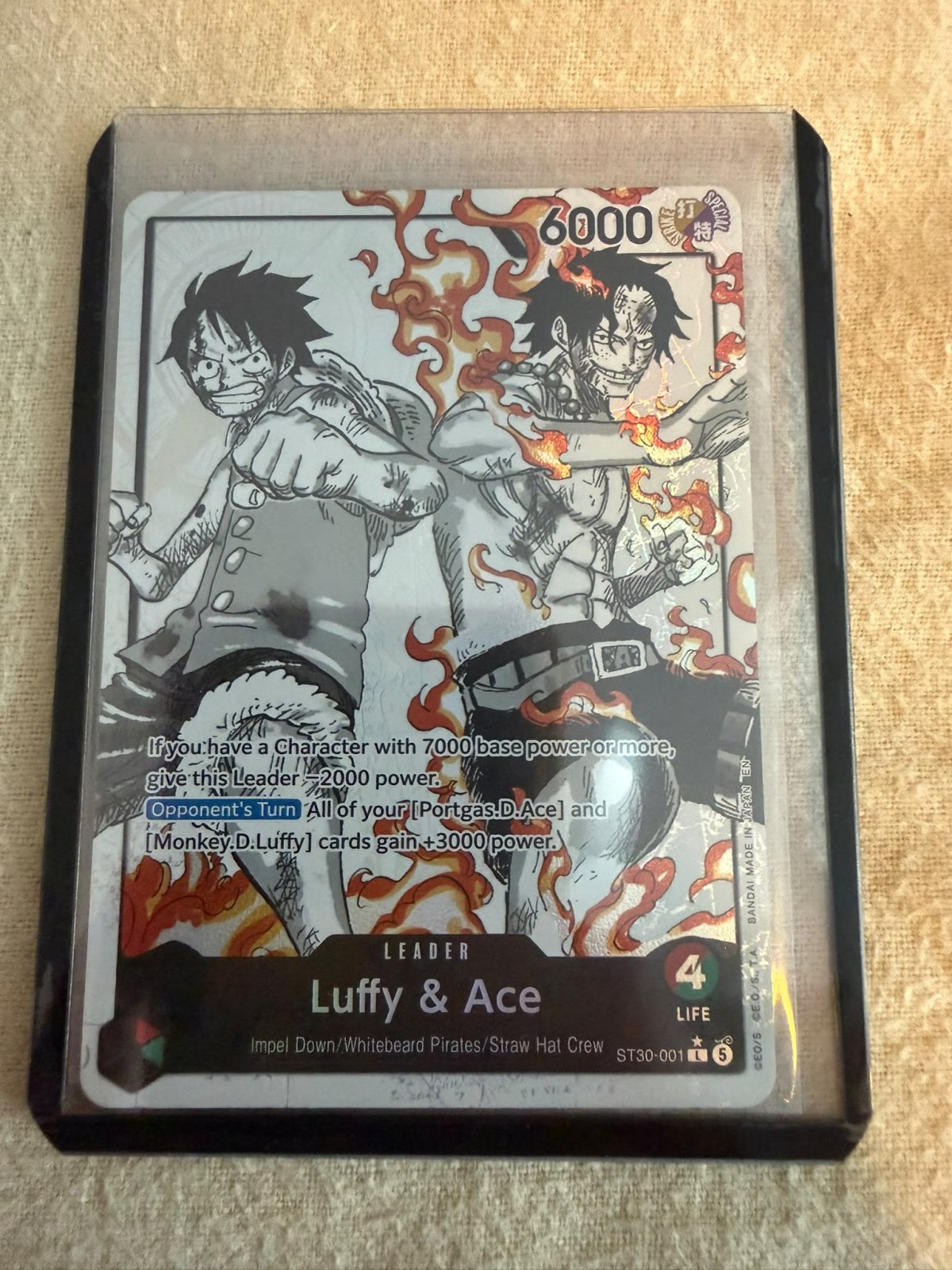 Luffy & Ace, foto 1