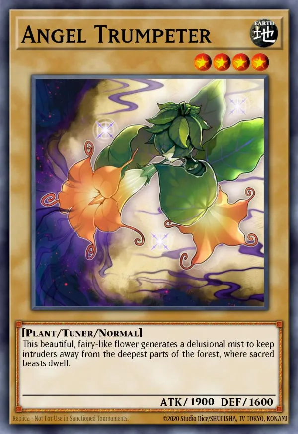 Angel Trumpeter