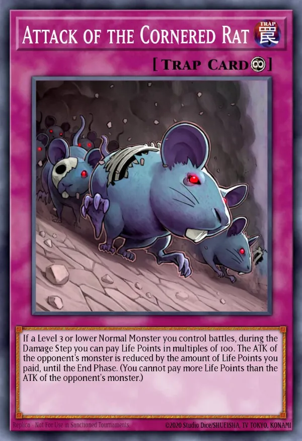 Attack of the Cornered Rat