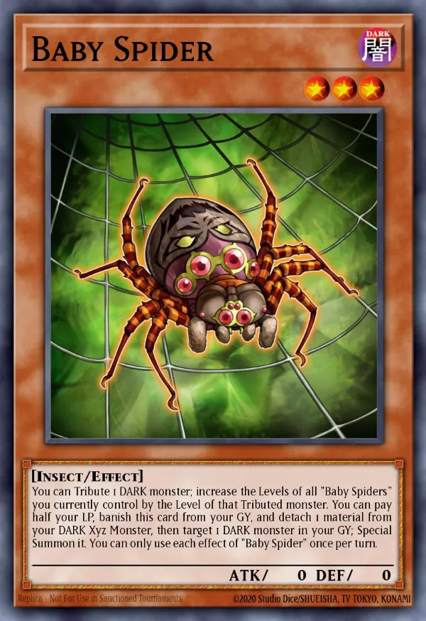 Baby Spider