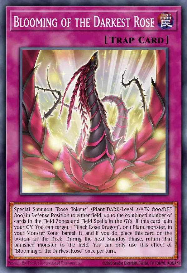 Blooming of the Darkest Rose