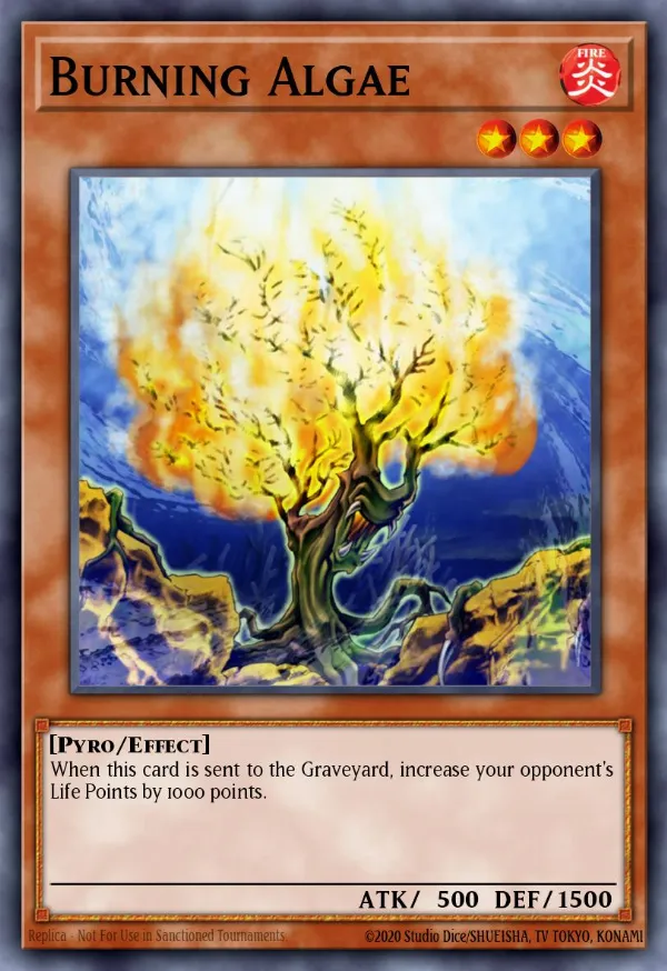 Burning Algae