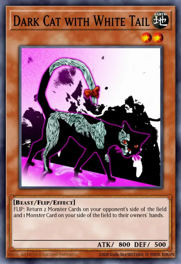 Dark Cat with White Tail