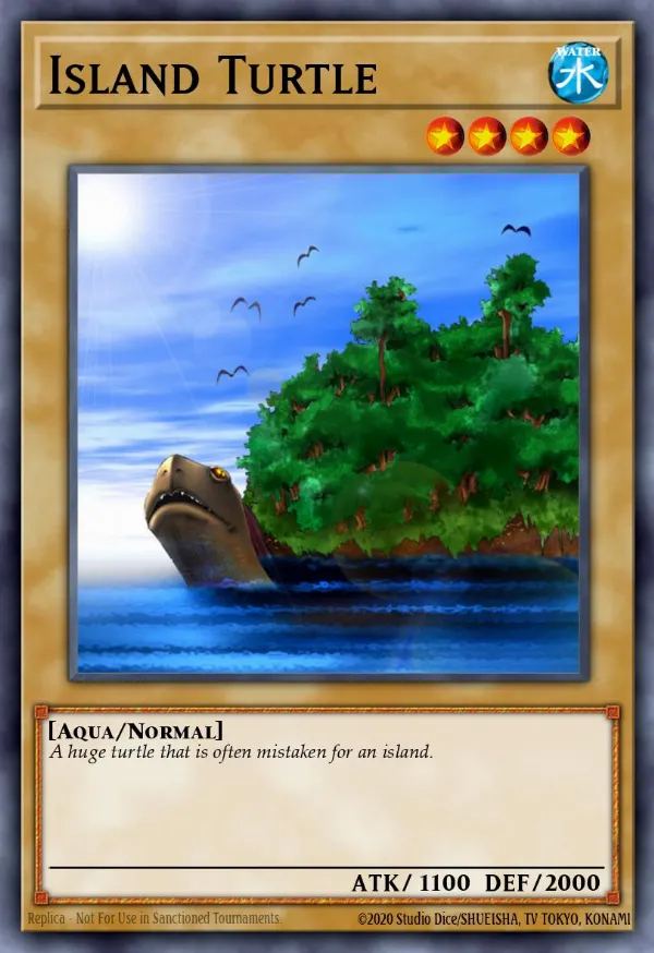 Island Turtle