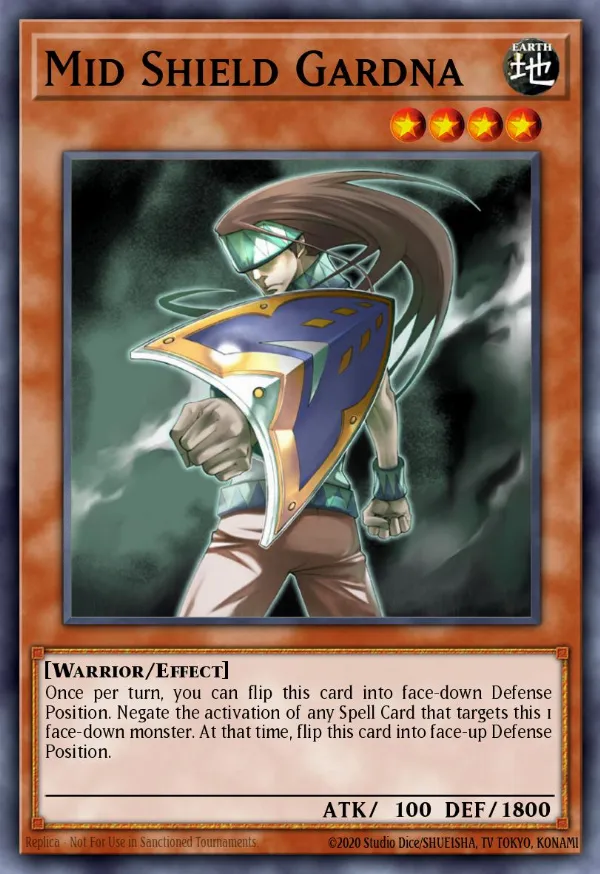 Mid Shield Gardna
