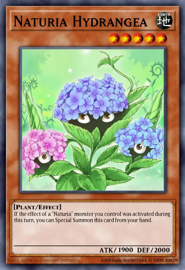 Naturia Hydrangea