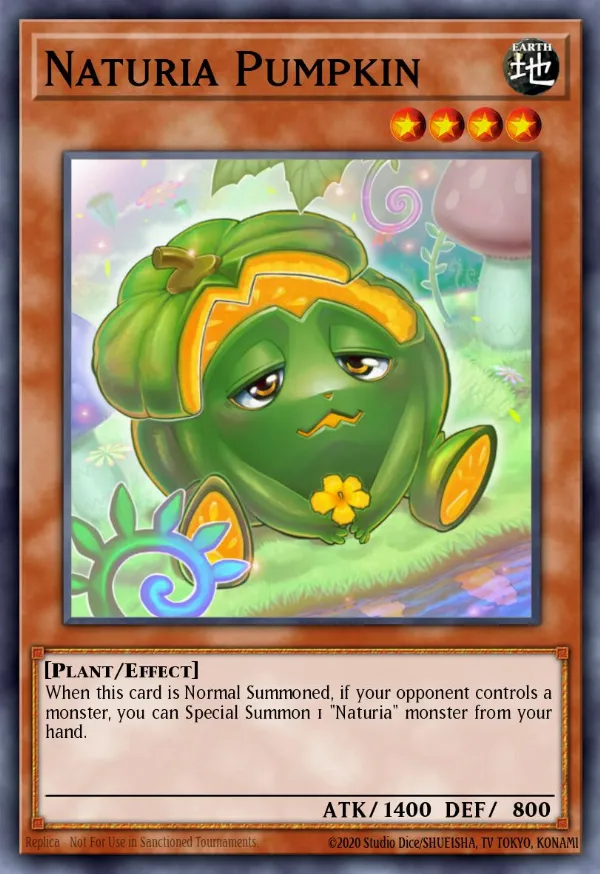 Naturia Pumpkin