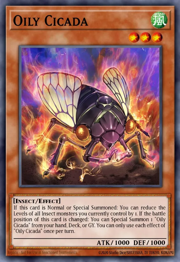Oily Cicada