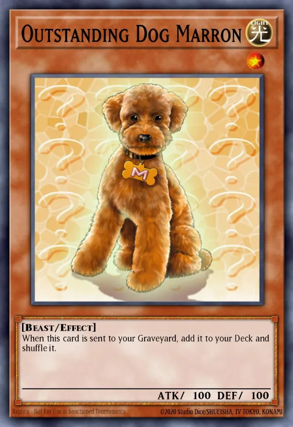 Outstanding Dog Marron