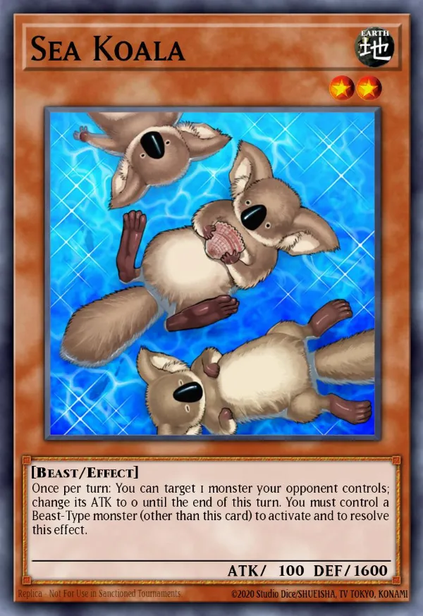 Sea Koala