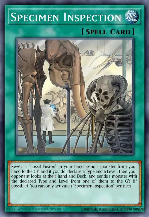 Specimen Inspection