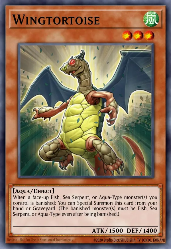 Wingtortoise